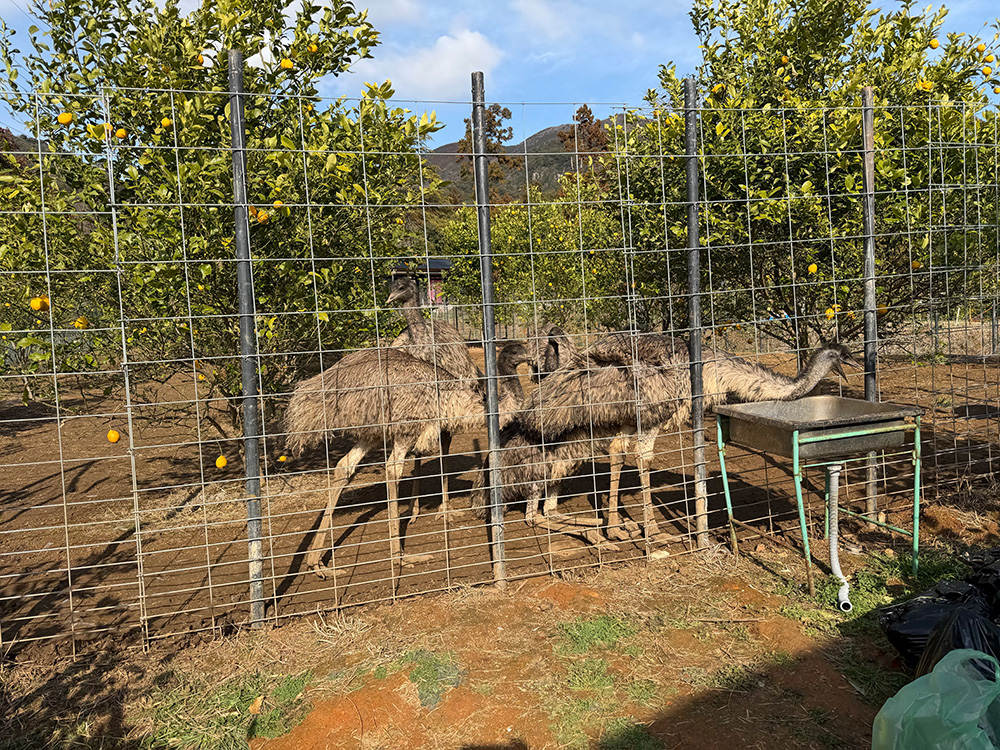 合同例会・懇親会